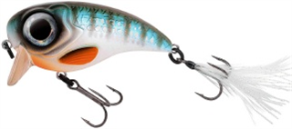 0001_Spro_Fat_Iris_60_[Herring].jpg